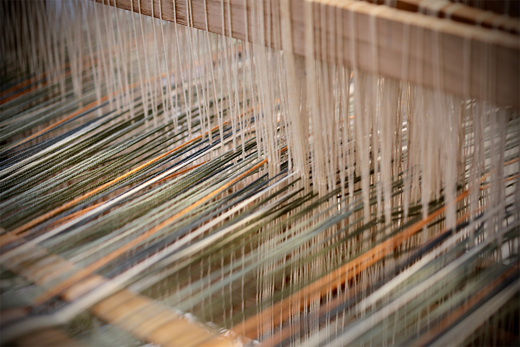 Looking to The Future - MH Segal